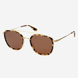 Weston Sunglasses: Tortoise